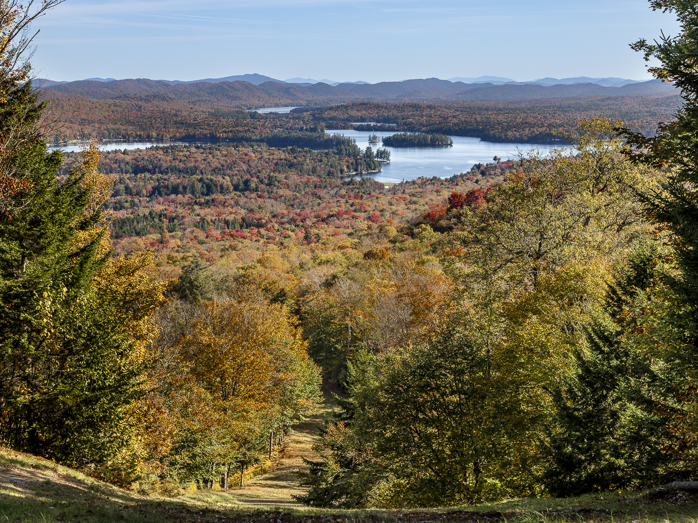 3rd PrizeMulti-Scape In Class 2 By Susan Jordan For Descend Into Folliage OCT-2025.jpg